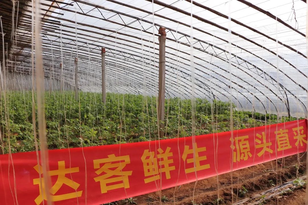 1651128435328621.jpg 15.jpg