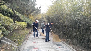 點(diǎn)亮綠色之夢