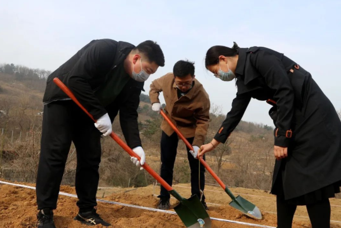 春風(fēng)十里，植下一片綠 | 瑞源控股集團(tuán)開展2023年植樹節(jié)系列活動