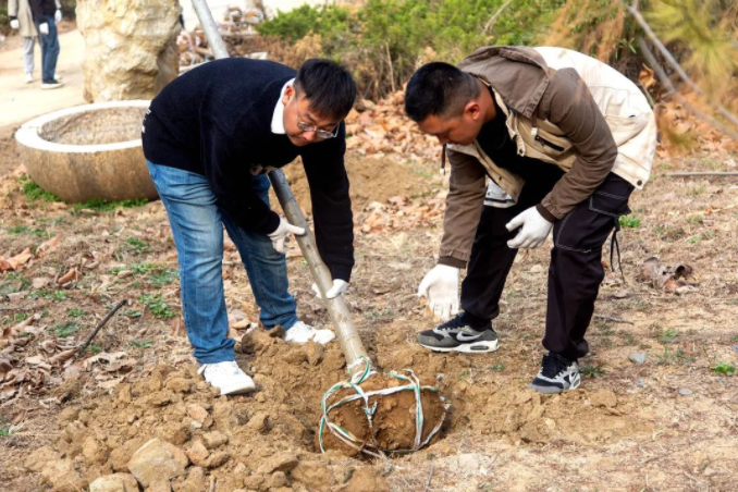 春風(fēng)十里，植下一片綠 | 瑞源控股集團(tuán)開展2023年植樹節(jié)系列活動