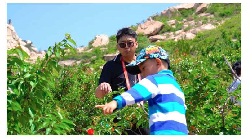 以節(jié)會友 赴一場櫻桃的盛宴 以節(jié)會友 赴一場櫻桃的盛宴